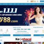 Giới thiệu tổng quan về nhà cái Wi88