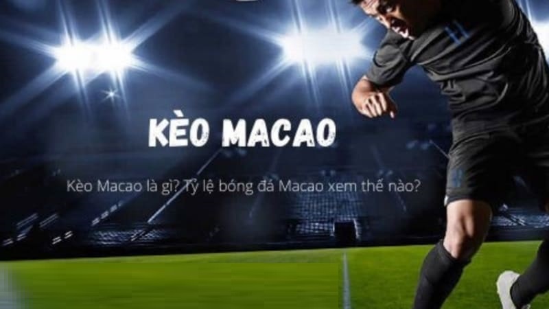 Lợi ích bất ngờ khi tham gia tỷ lệ kèo Macau