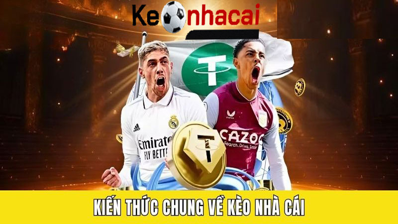 Kinh Nghiệm Khi Tham Khảo Kèo Nhà Cái Hay Nhất