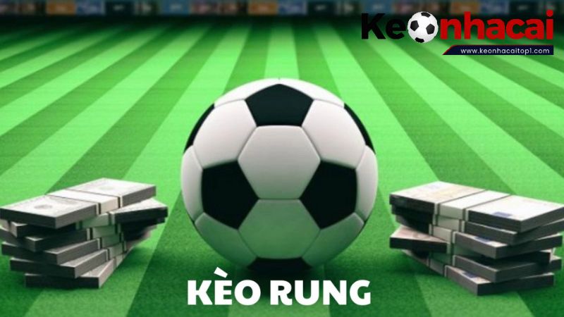 Kinh nghiệm chơi kèo rung hiệu quả