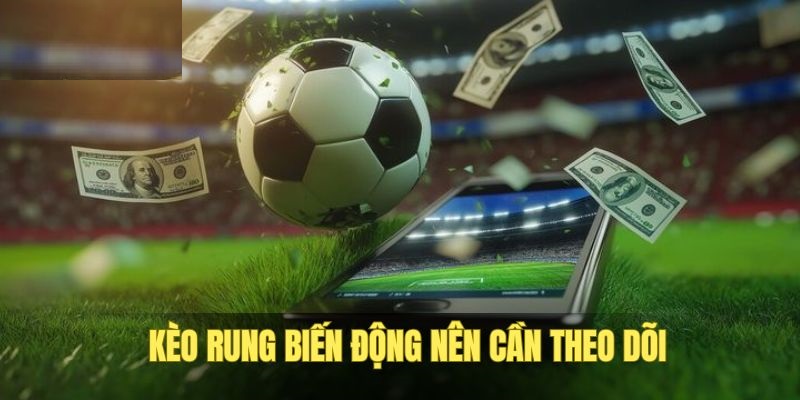 Nắm bắt luật chơi được áp dụng để cá cược thành công