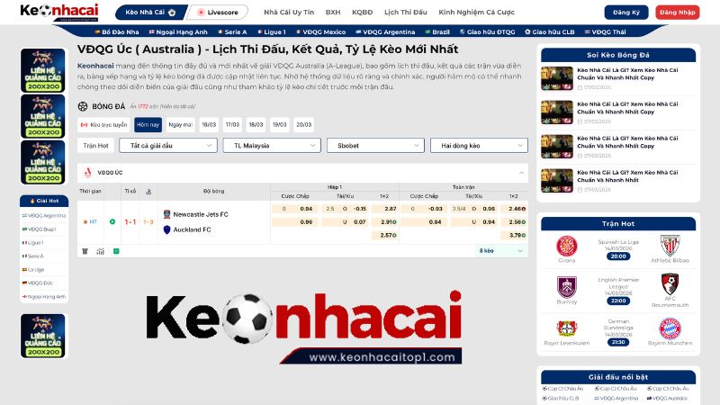 Tổng Quan Về Giải Đấu VĐQG Australia