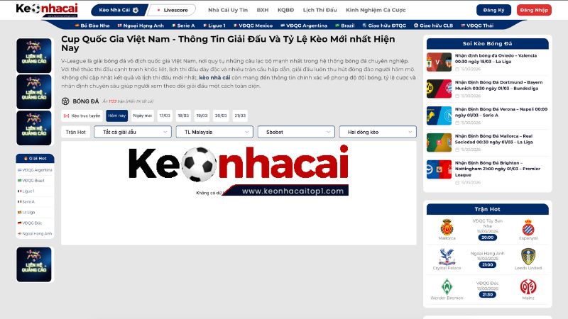 Tổng quan về giải bóng đá V-League