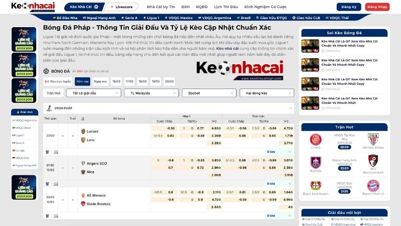 Tổng quan về giải đấu Ligue 1