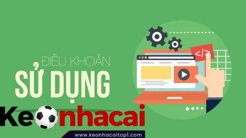 Vai trò của điều khoản sử dụng đối với người chơi và nhà cái