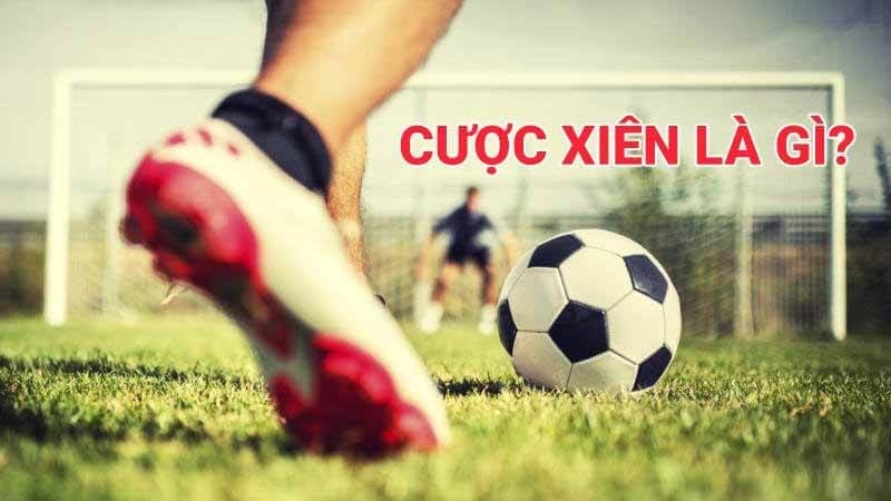 Tham khảo bản chất của cược xiên để đầu tư cá cược thành công lớn